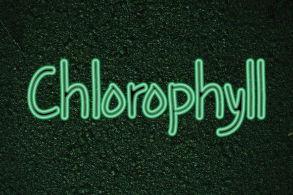 Chlorophyll: A Sweet and Quirky Font for Your Brand