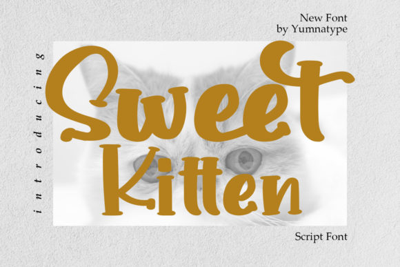 Discover Sweet Kitten: A Charming Handwritten Font for Editorial Design