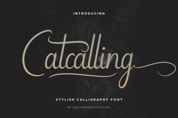 Enhance Your Campaign with Catcalling Font