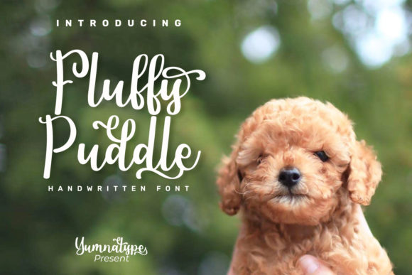 Enhance Your Campaigns with Fluffy Puddle Font