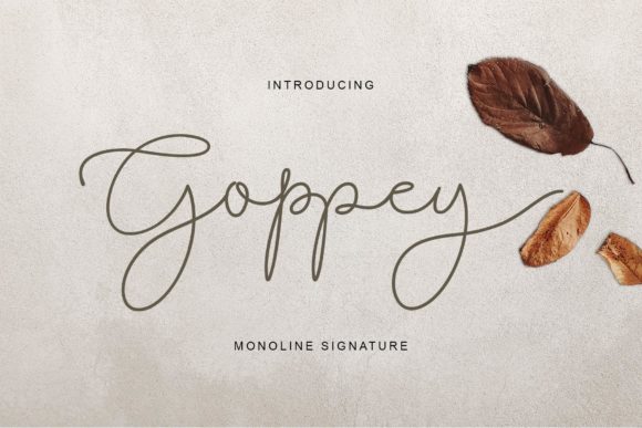 Goppey: A Delicate Handwritten Font for Eye-Catching Campaigns