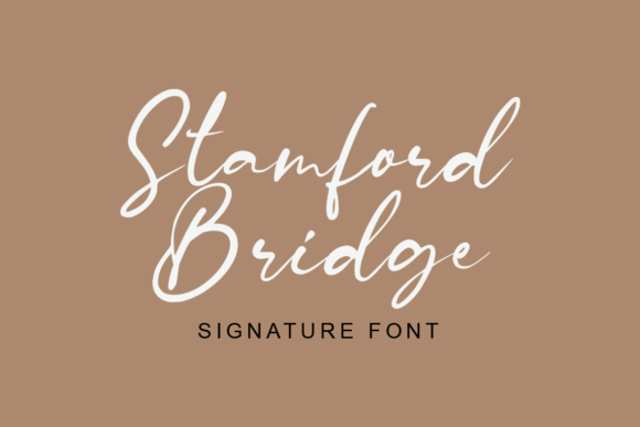 Stamford Bridge: A Romantic Script Font for Web Design